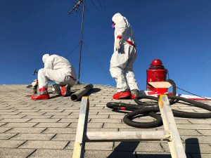 removing asbestos from roof tiles