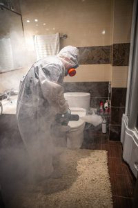 technician performing mold removal