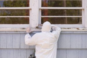 lead paint removal technician