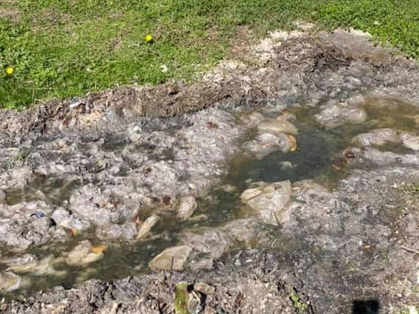 sewage runoff on lawn