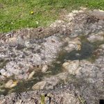 raw sewage on lawn